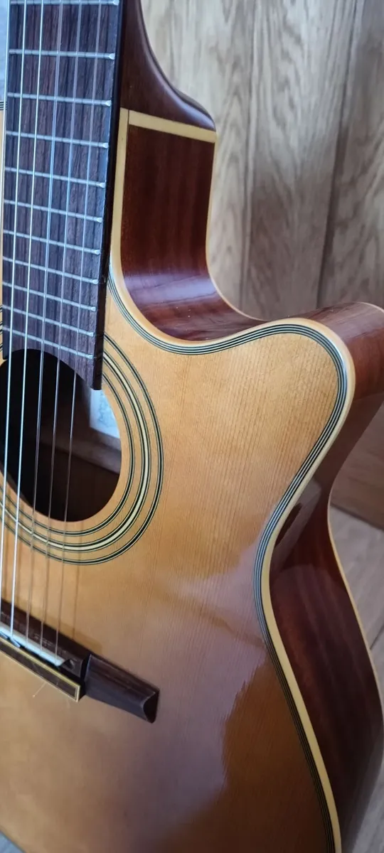 Ibanez AE20N Nylon Electro-Acoustic (Thin-Body) - Image 3