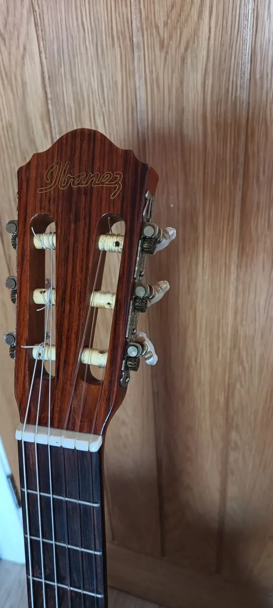 Ibanez AE20N Nylon Electro-Acoustic (Thin-Body) - Image 4