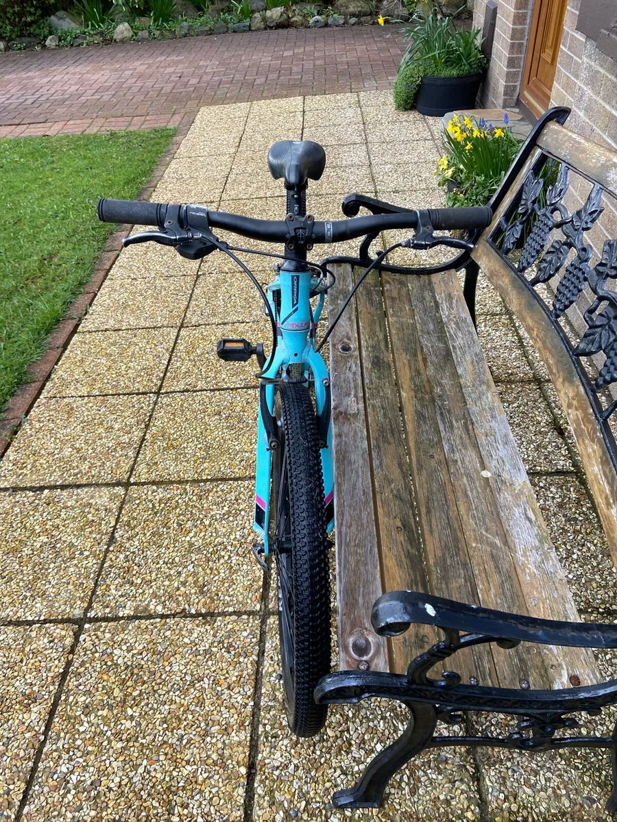 24 inch. Bike - Image 2