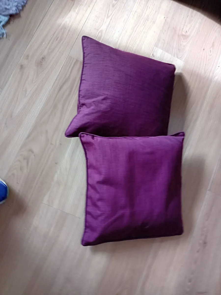 Plum Living Room Rug and 2 Plum Cushions - Image 2
