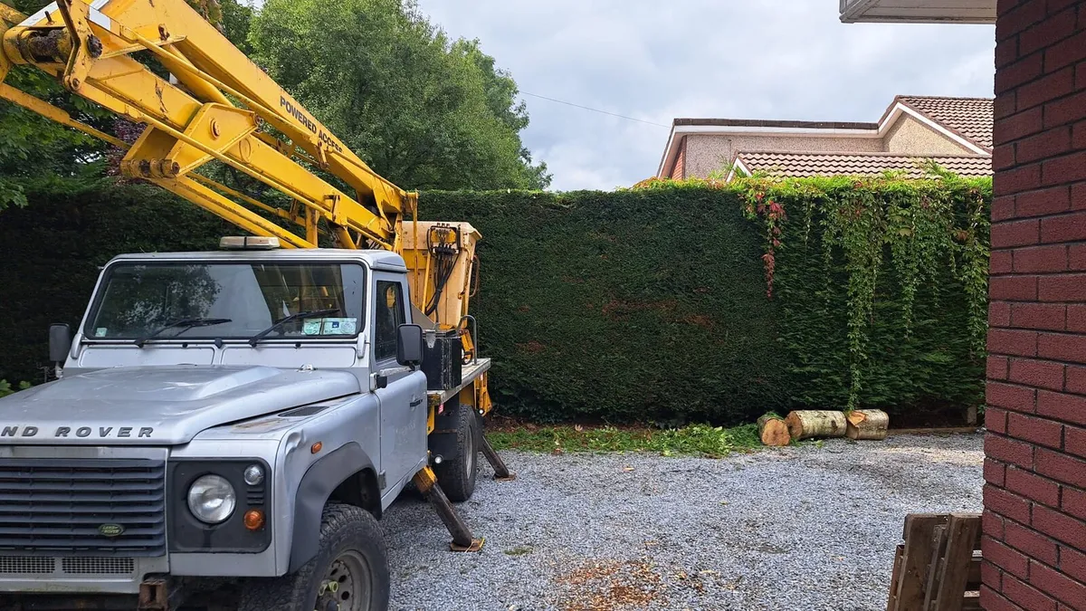Wood chipper hire/ tree care - Image 4
