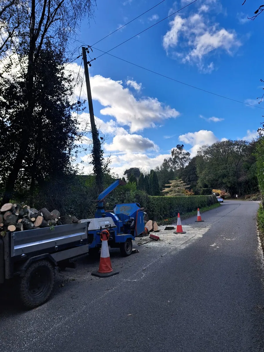 Wood chipper hire/ tree care - Image 2