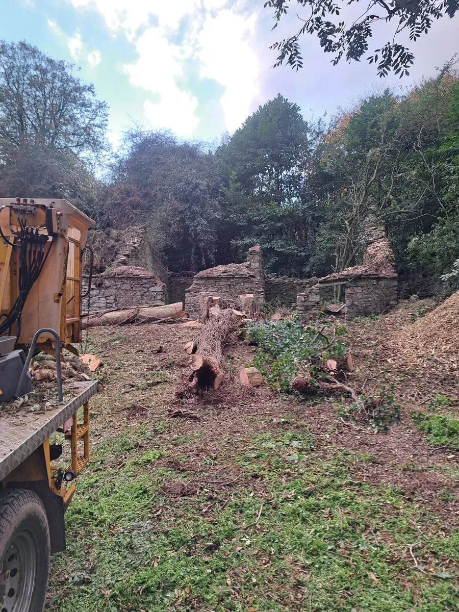 Wood chipper hire/ tree care - Image 3