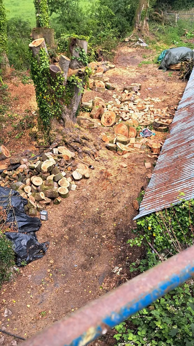 Wood chipper hire - Image 3