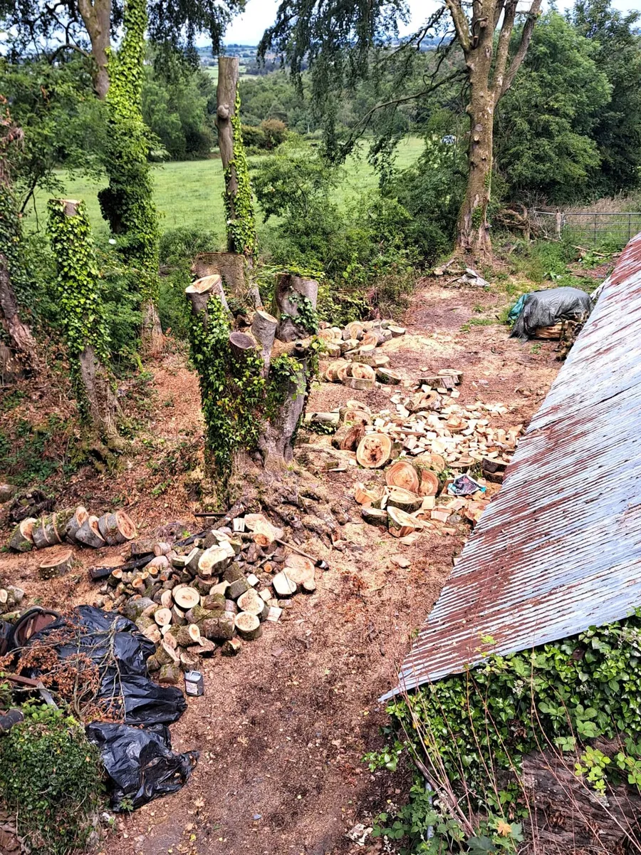 Wood chipper hire - Image 4