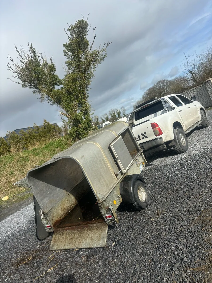 Ifor Williams sheep trailer - Image 3