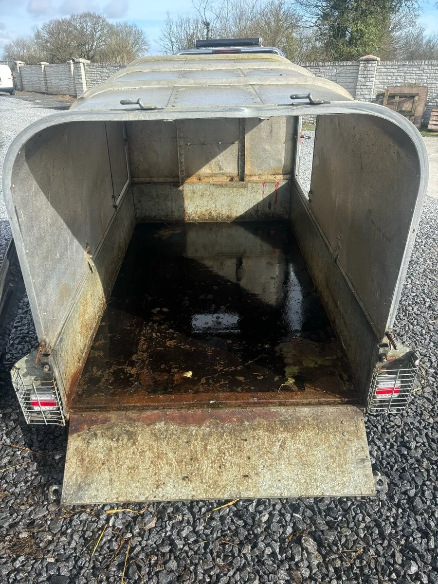 Ifor Williams sheep trailer - Image 4
