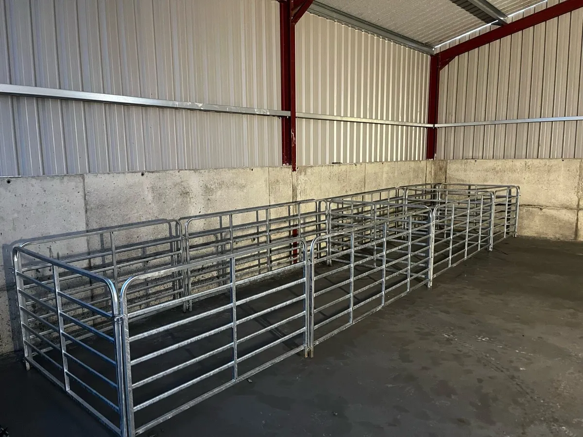 NEW Sheep/calf gates heavy duty - 4ft,8ft,10ft - Image 1