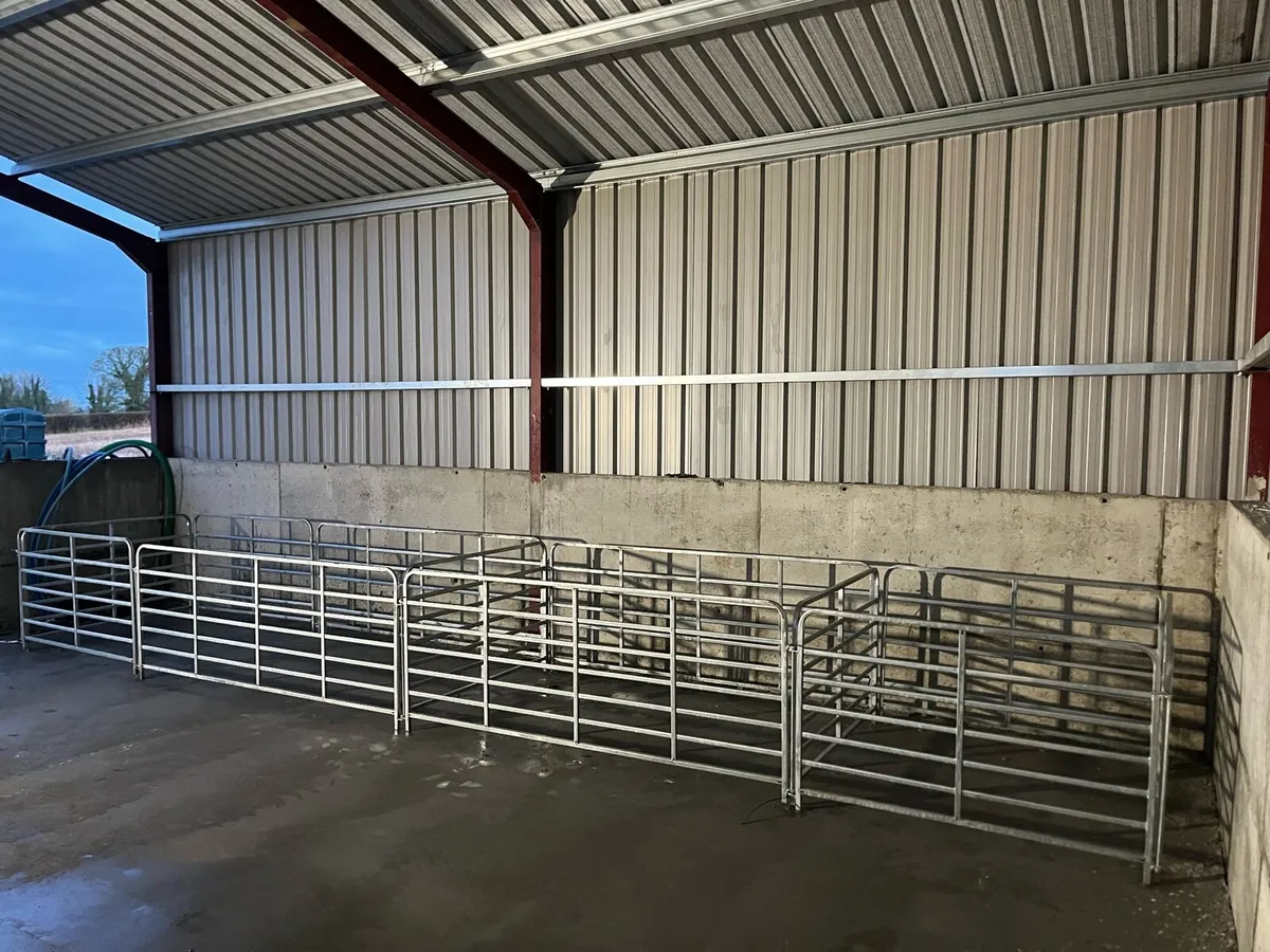 NEW Sheep/calf gates heavy duty - 4ft,8ft,10ft - Image 2