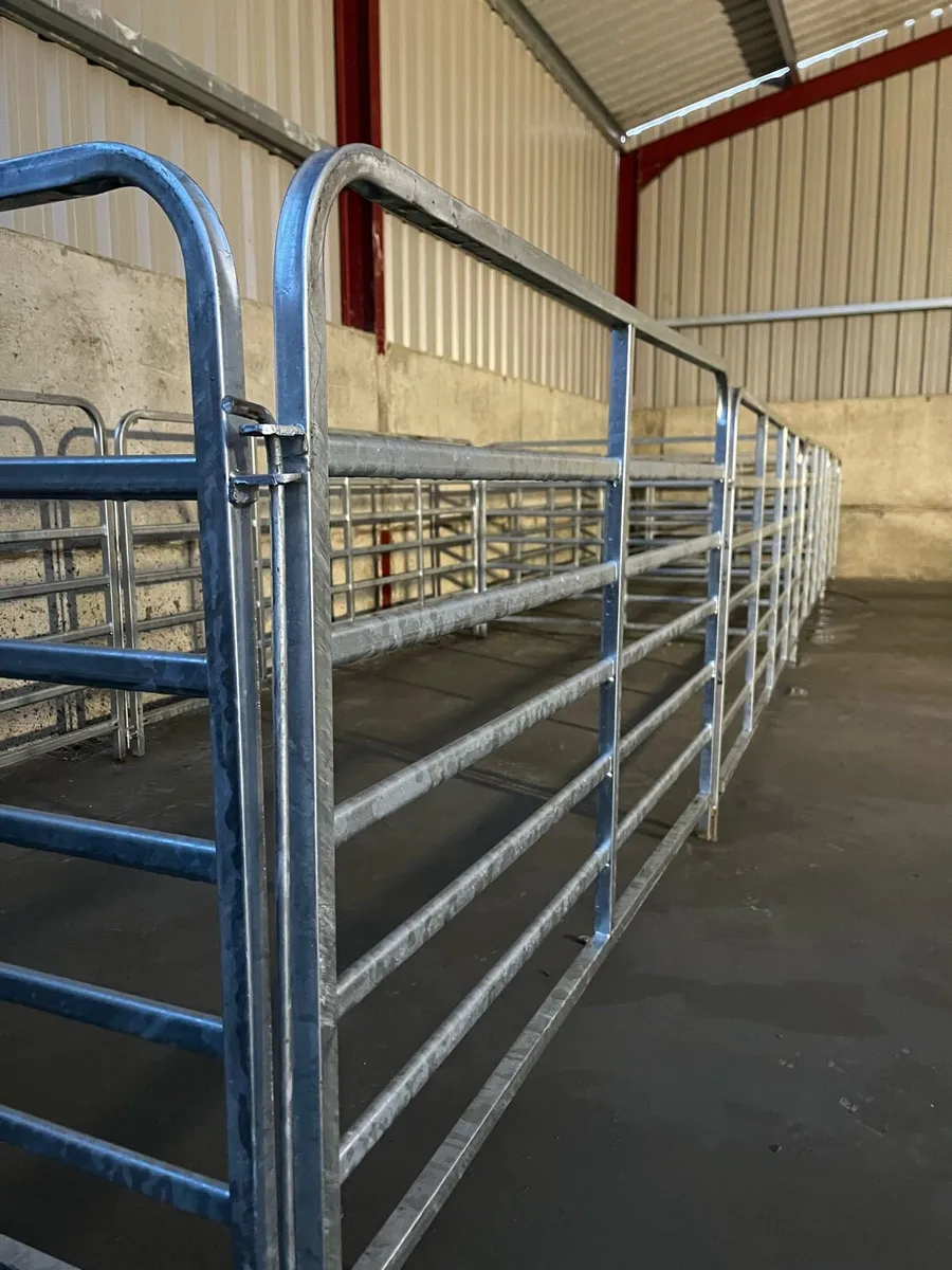 NEW Sheep/calf gates heavy duty - 4ft,8ft,10ft - Image 4
