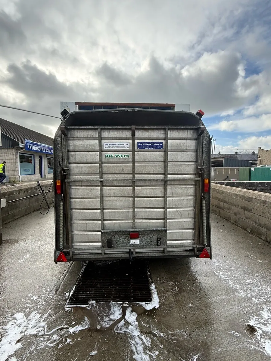 Ifor Williams 12x6 Cattle Trailer - Image 2