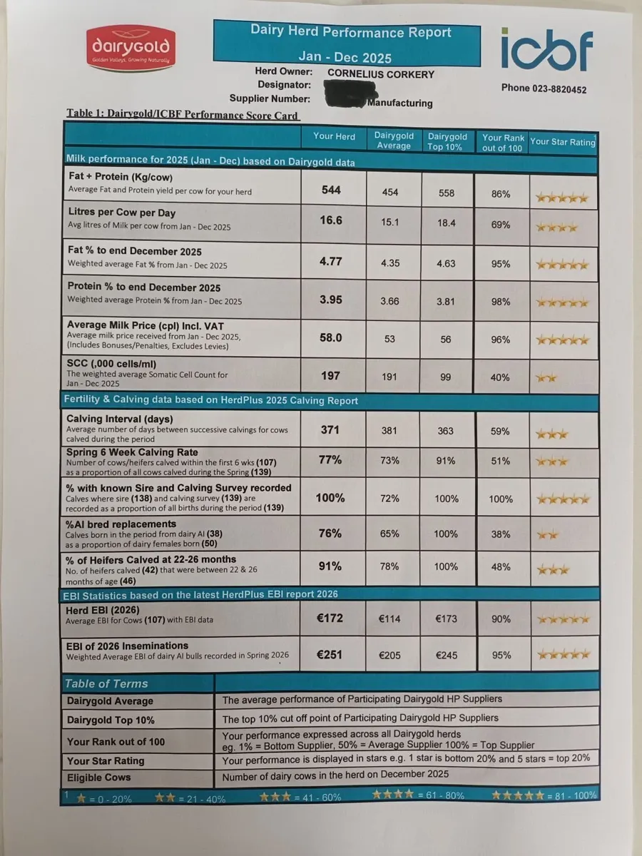 Calved heifers Corrin mart 6th march - Image 1
