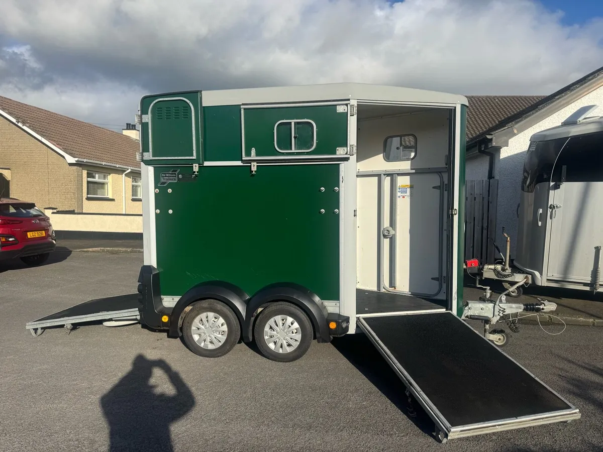 Ifor Williams 403 Single/Mare foal - Image 3
