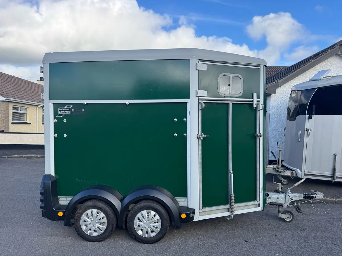 Ifor Williams 403 Single/Mare foal - Image 2
