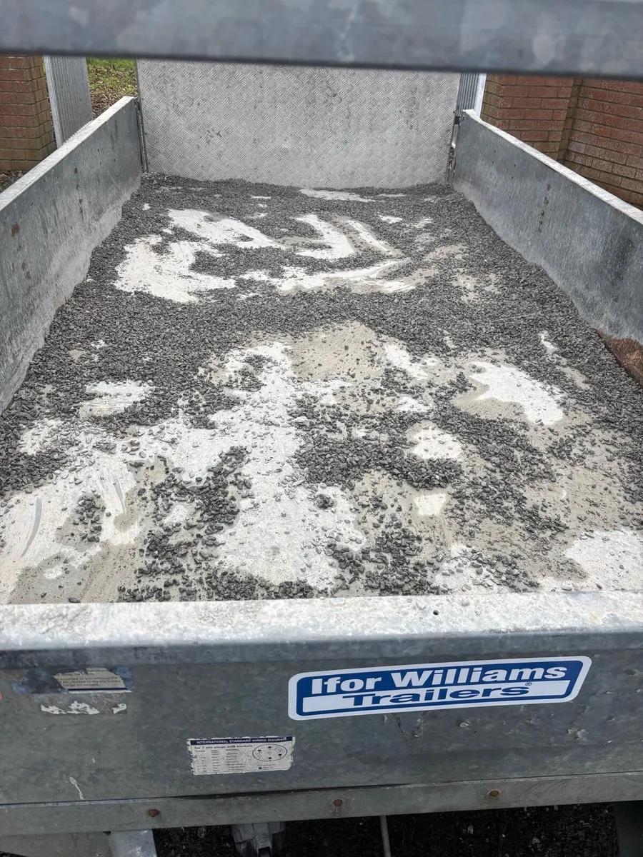 Iforwilliams trailer - Image 4