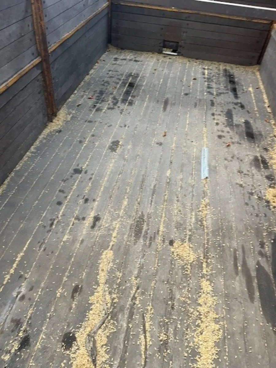 T+F 14′ x 7' DROPSIDE GRAIN TRAILER: 11018701 - Image 4