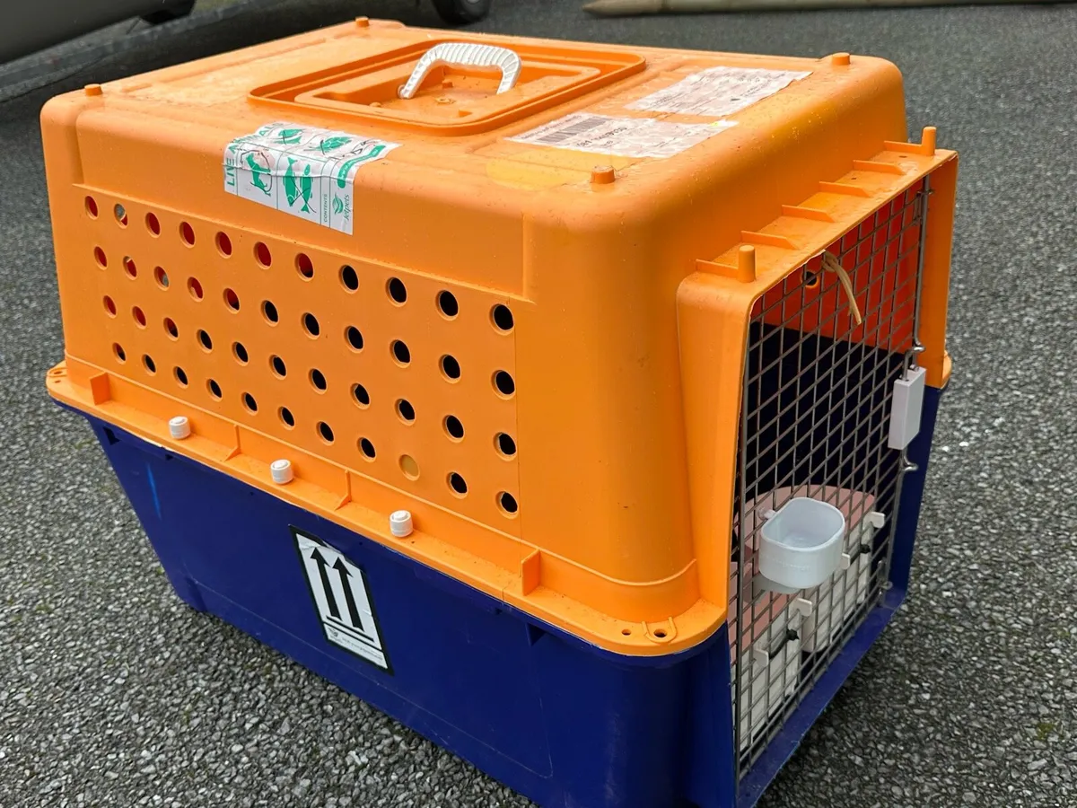 Dog crate - Image 2