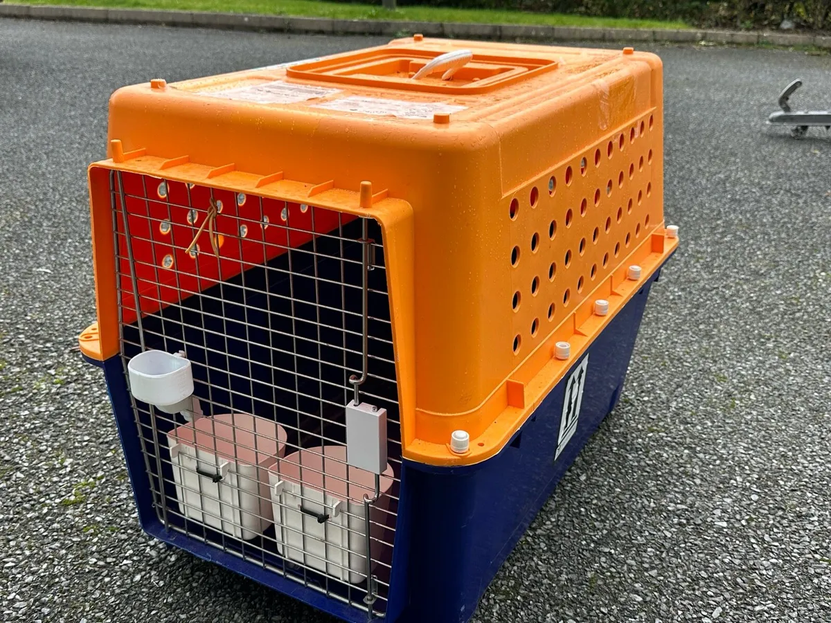Dog crate - Image 4