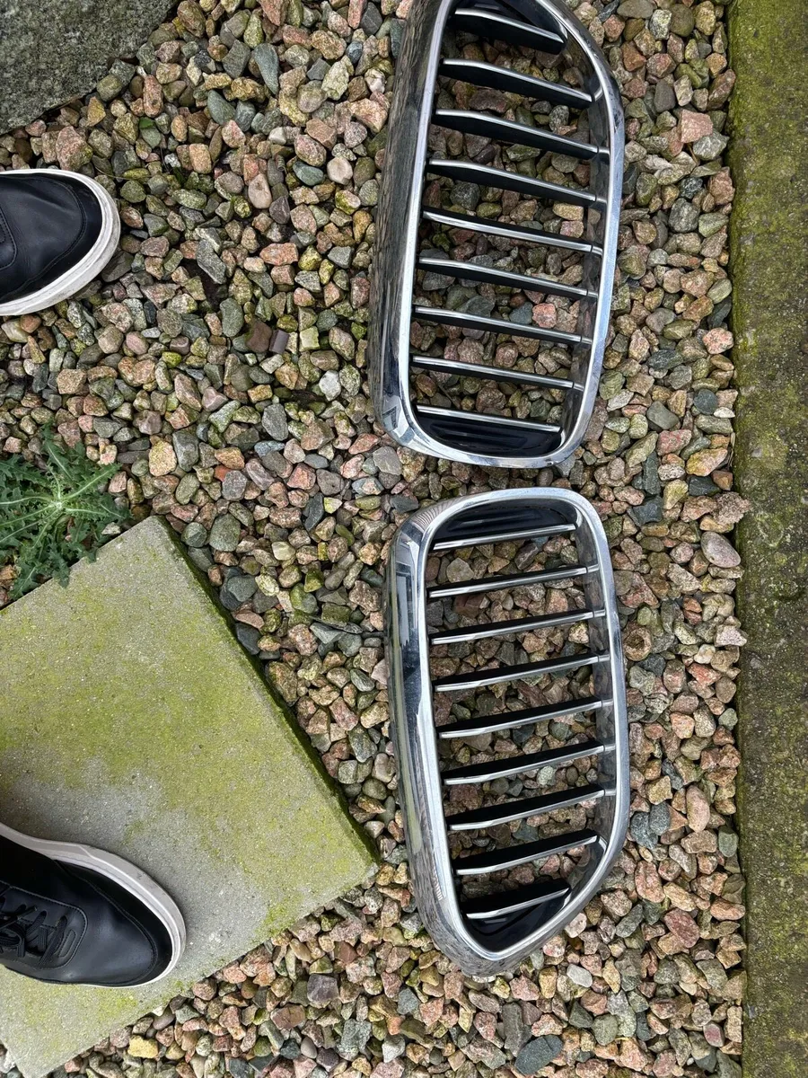 181 BMW 5 series grills - Image 1