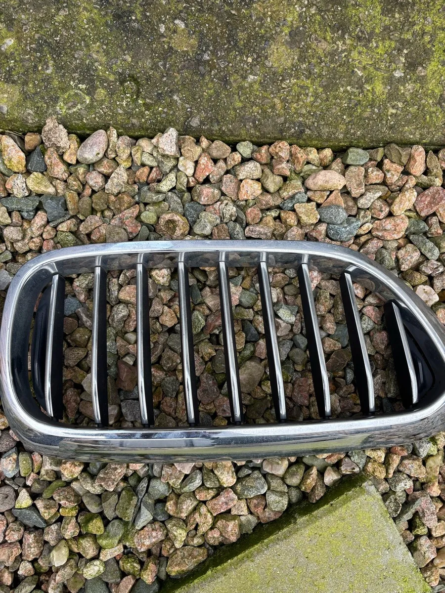181 BMW 5 series grills - Image 2