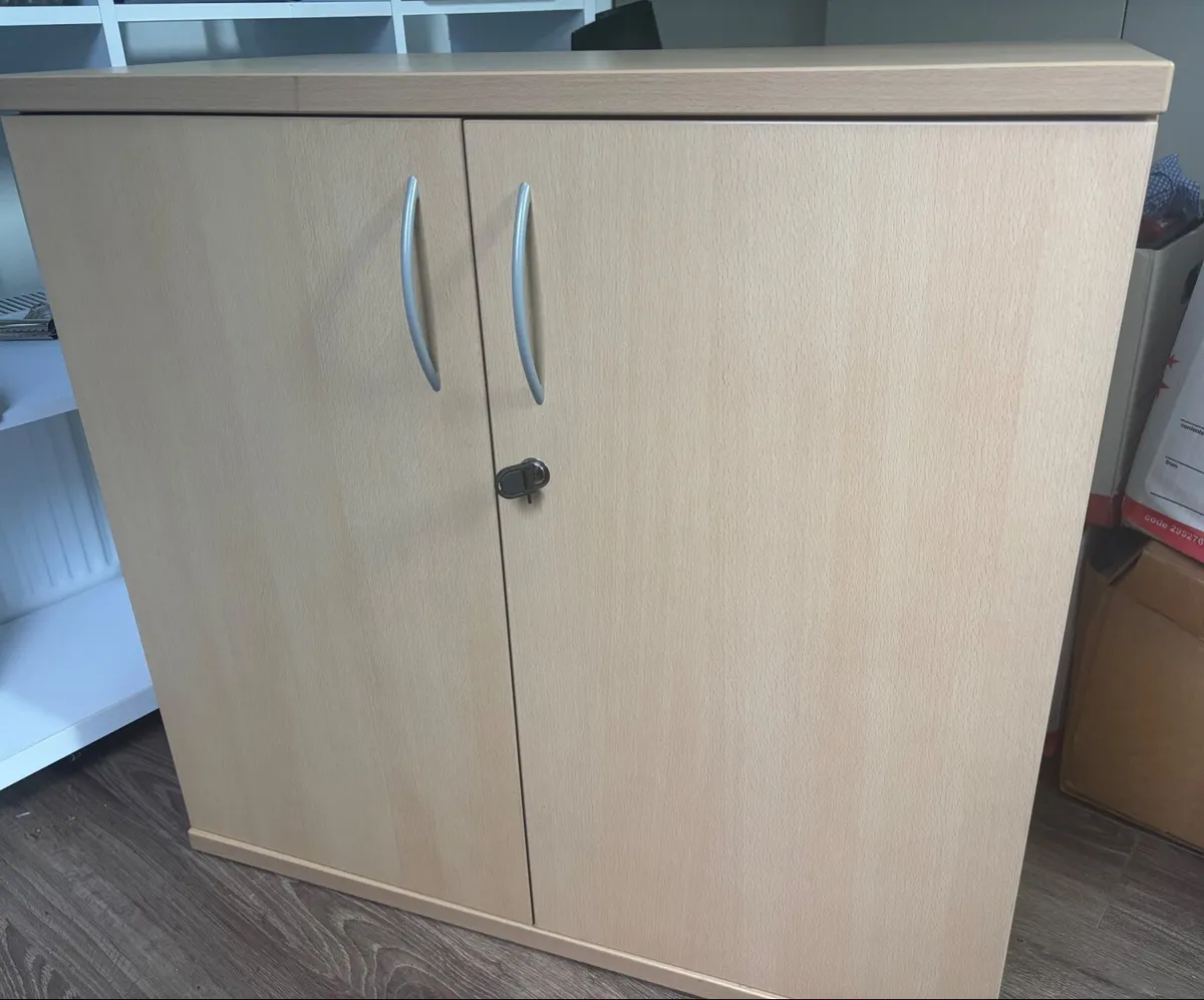 Cabinet / Cupboard/ storage  unit - Image 1