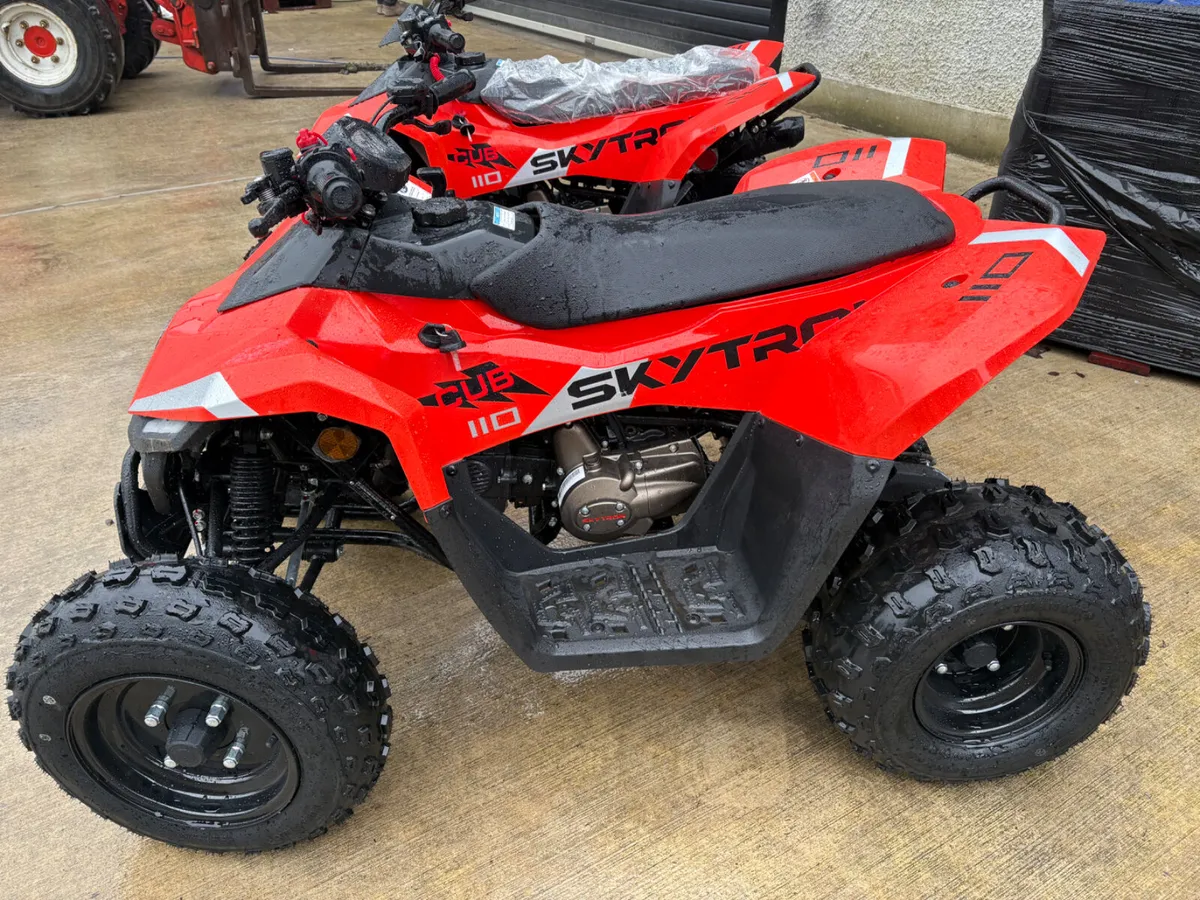 **NEW Skytron Cub 110cc With Reverse gear - Image 2