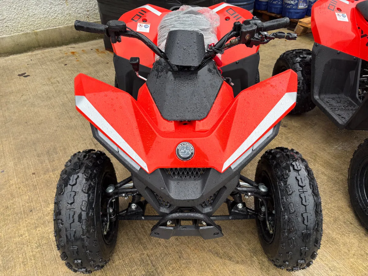 **NEW Skytron Cub 110cc With Reverse gear - Image 3
