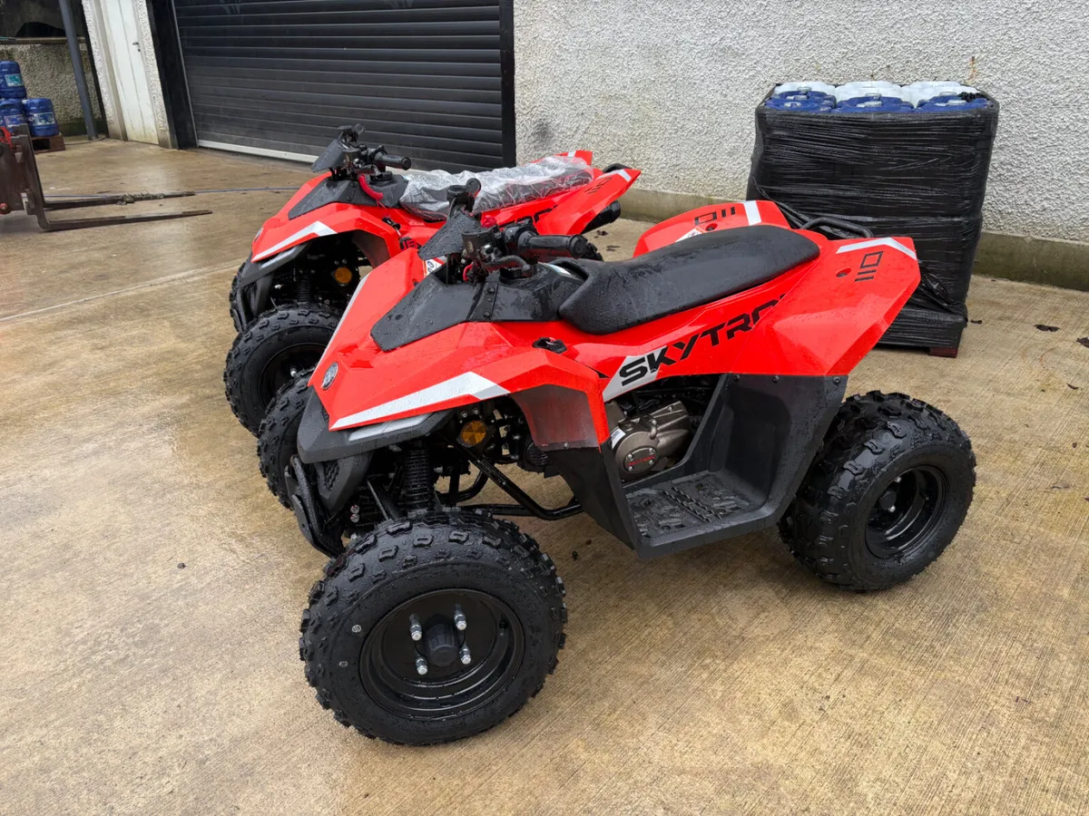 **NEW Skytron Cub 110cc With Reverse gear - Image 1