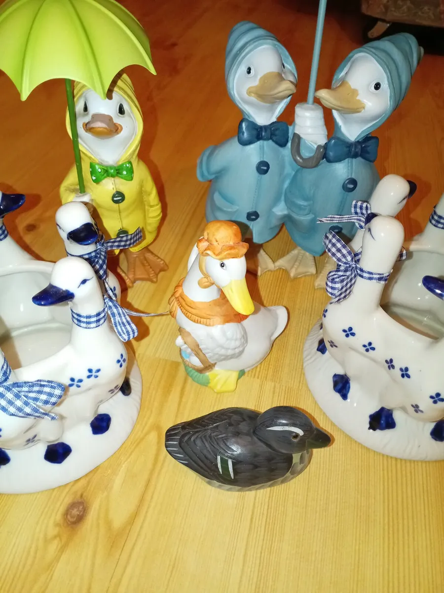 Duck decor - Image 1