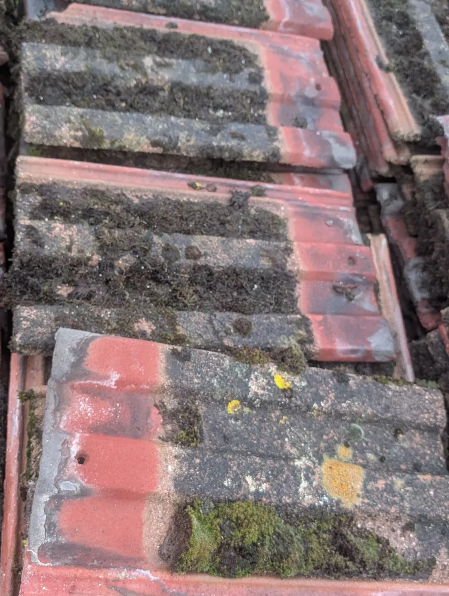 Concrete roof tiles - Image 1