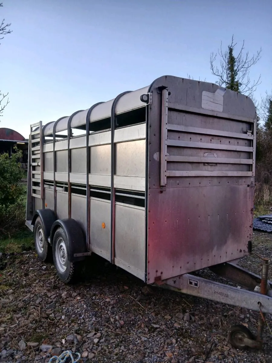 Ivfor Williams 12 by 5 - Image 1