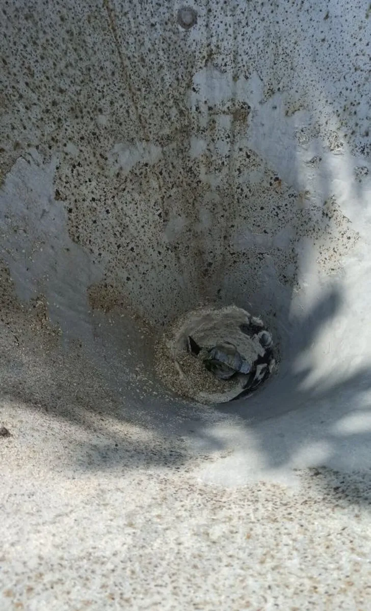 Fertilizer Spreader (Cavallo C503 N) - Image 3