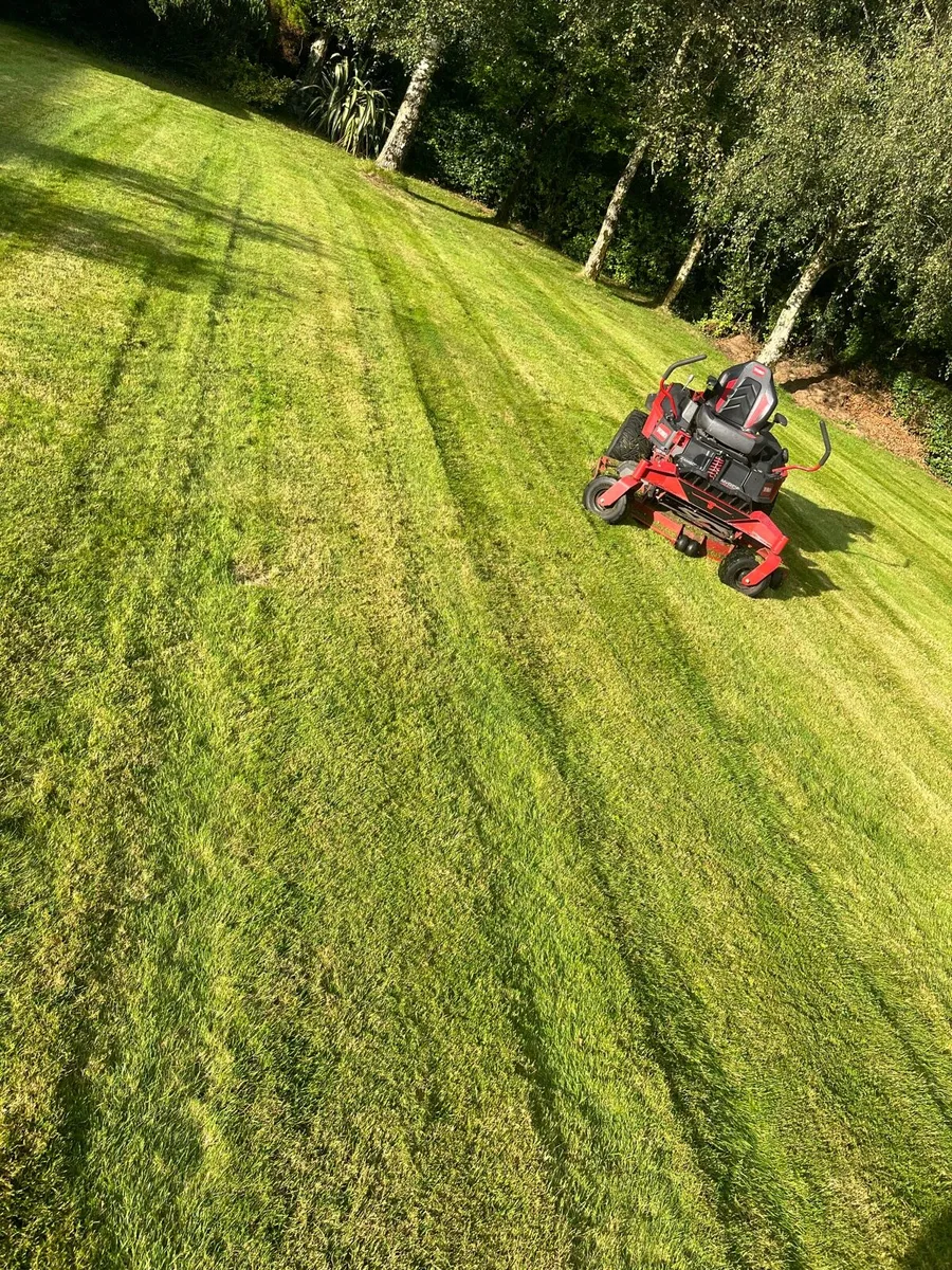 Grass Maintenance - Image 1