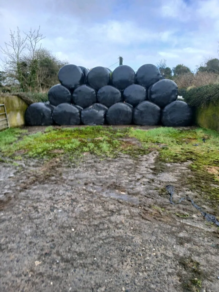 Silage bales
