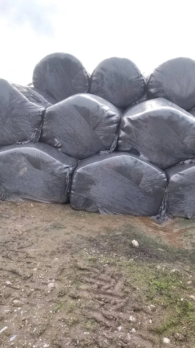 Silage bales