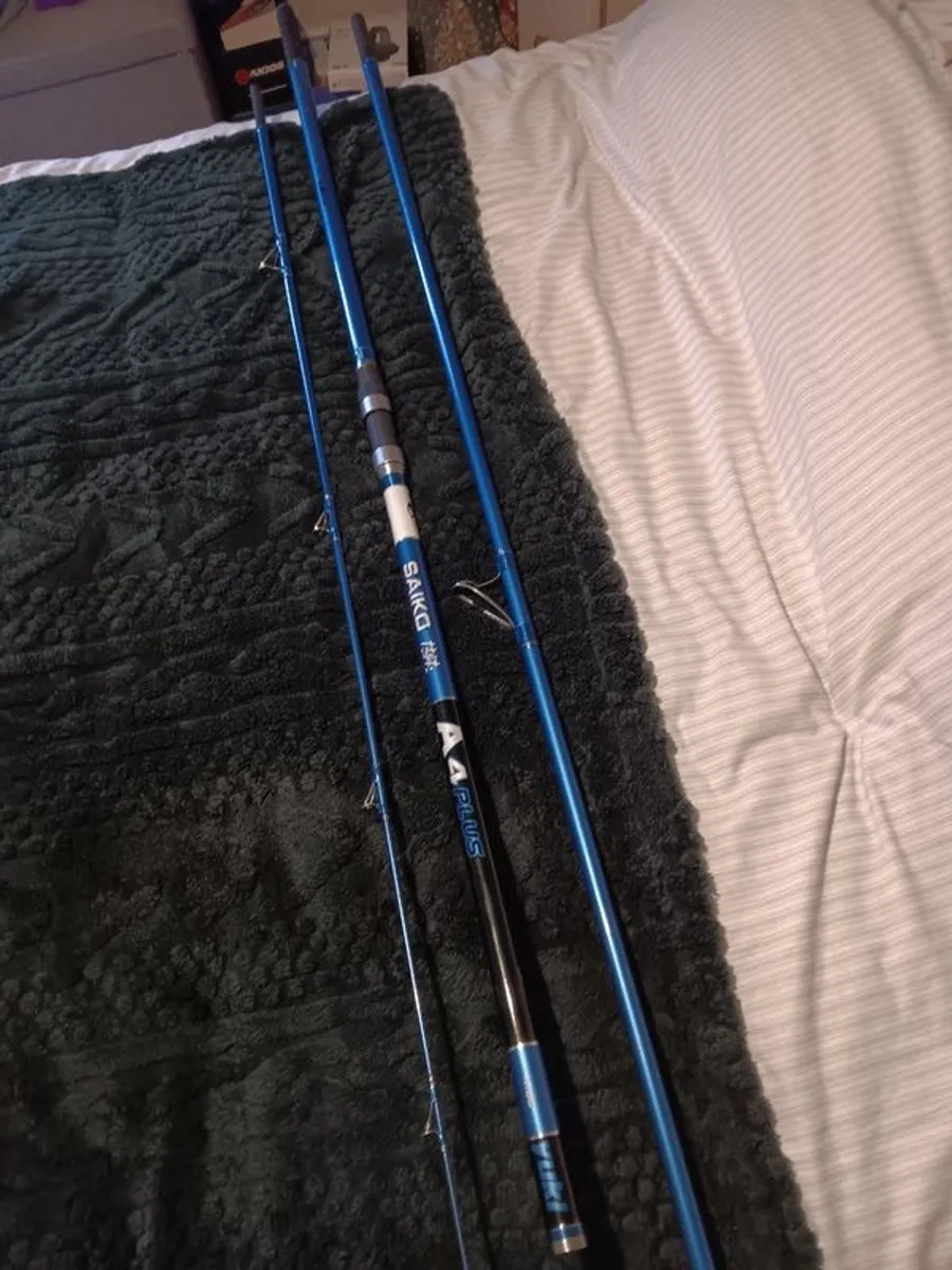 Beach rod and reel - Image 1