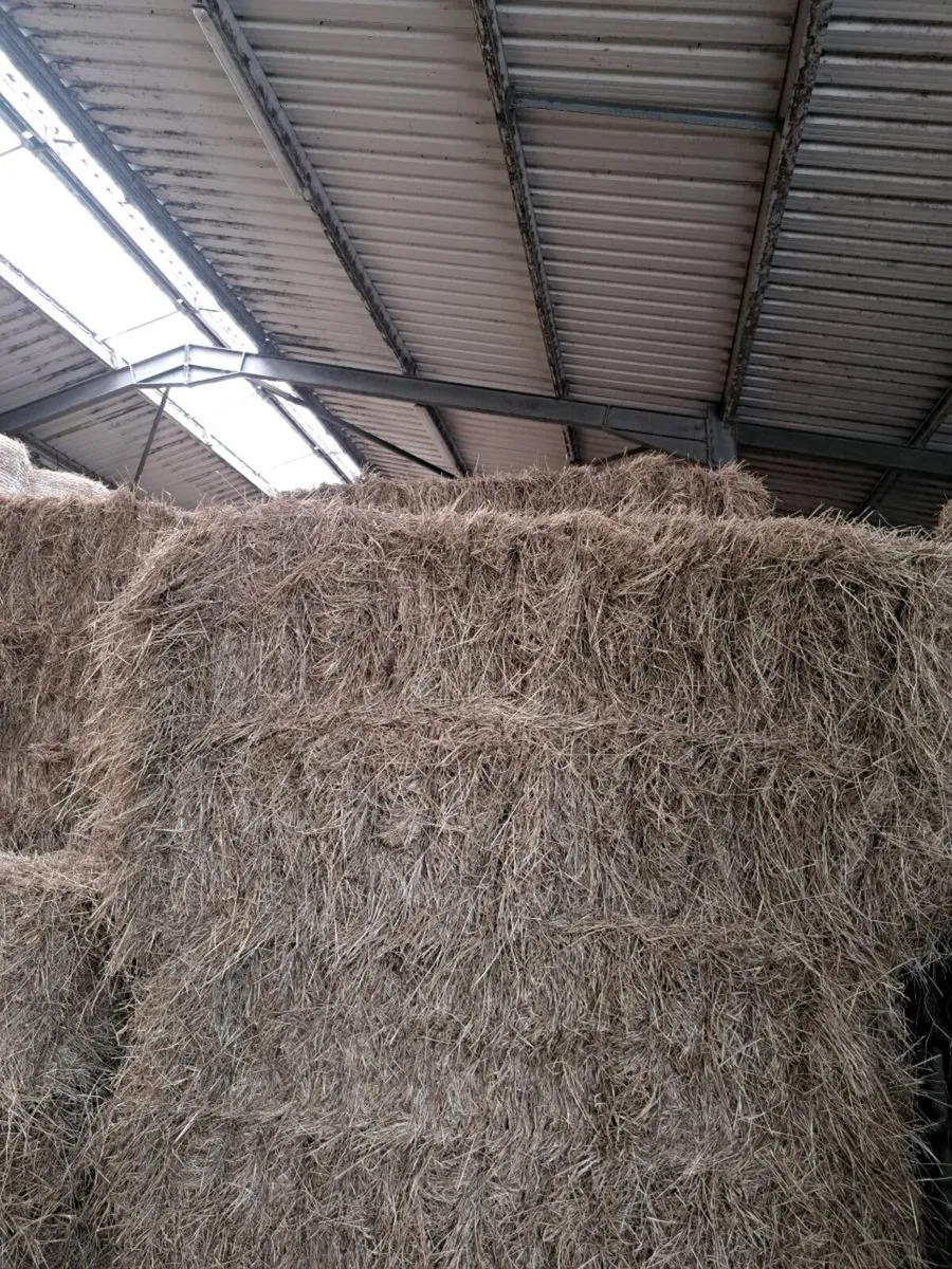 Hay Coffin Bales - Image 1