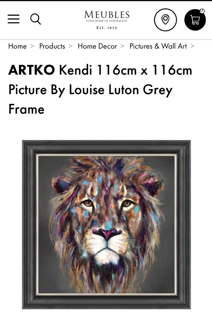 Brand New - Artko Kendi Lion Framed Picture - Image 4
