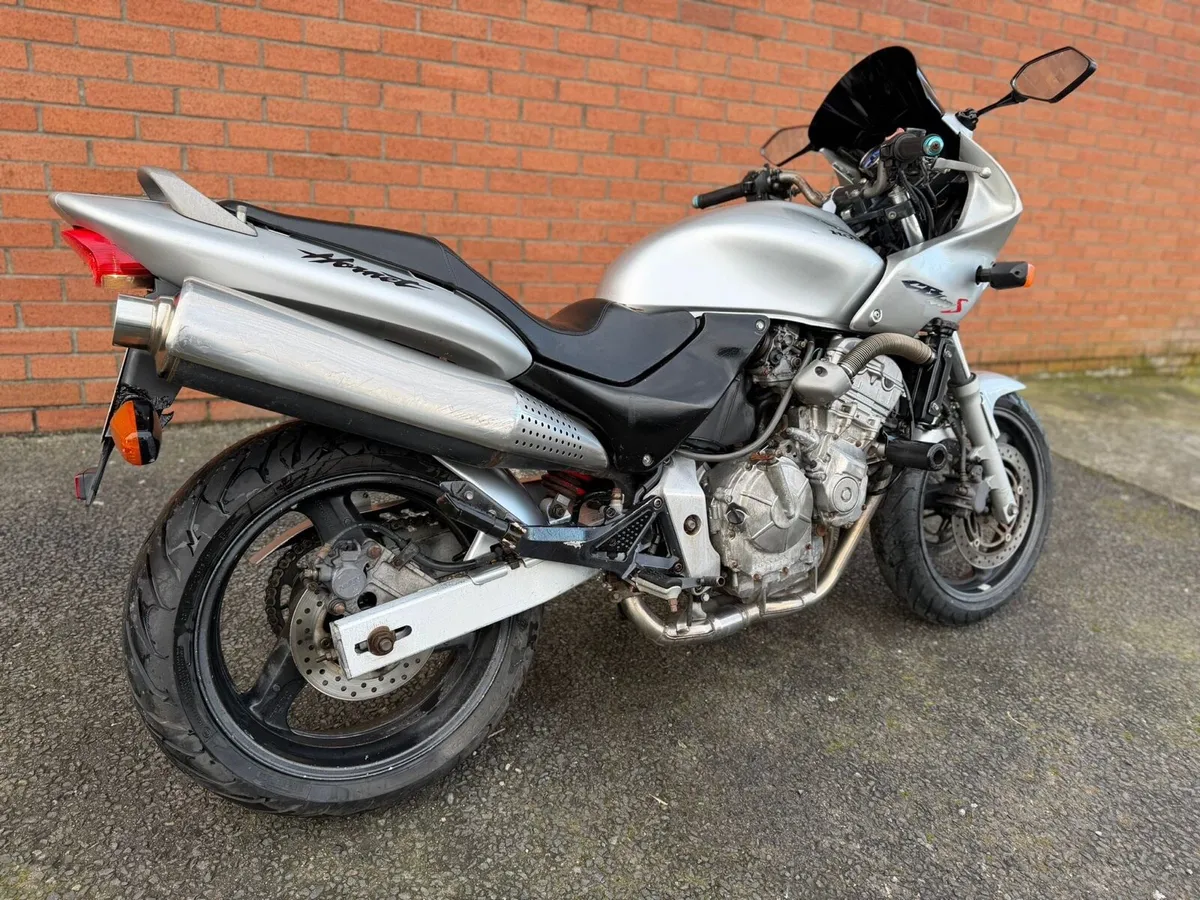 2002 Honda Hornet 600 - Image 3