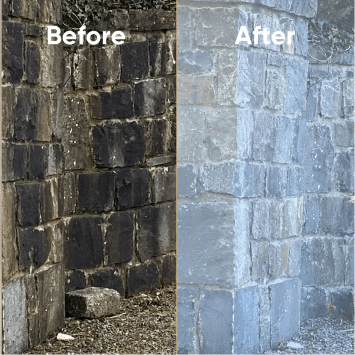 Actiwash Domestic Biocide – Algae, Mould Remover - Image 2