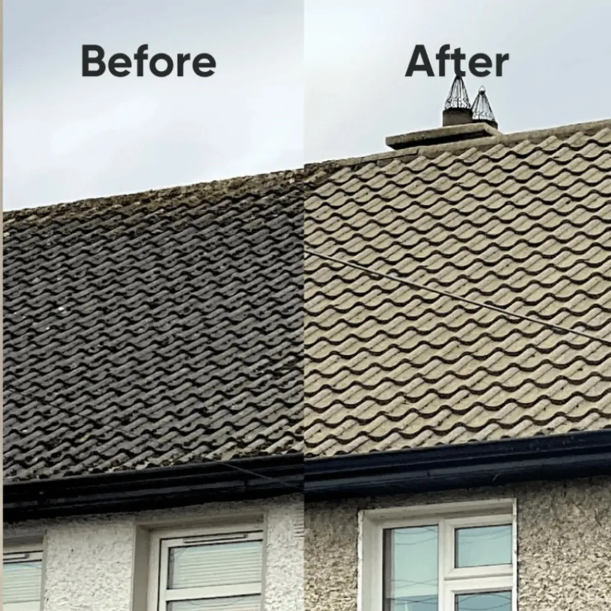 Actiwash Domestic Biocide – Algae, Mould Remover - Image 4