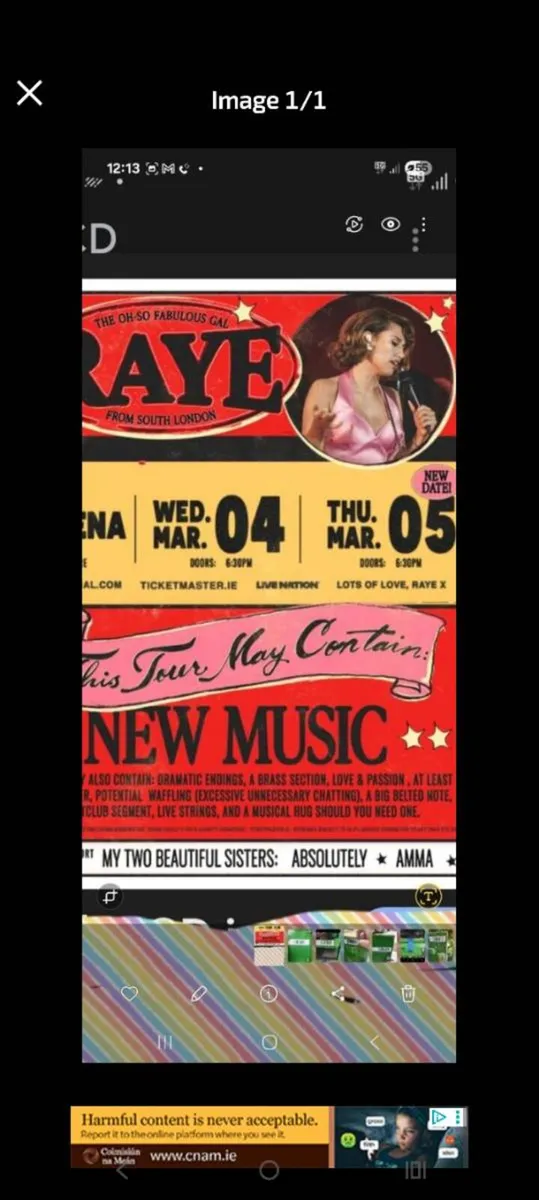 Raye Tickets available 4th March