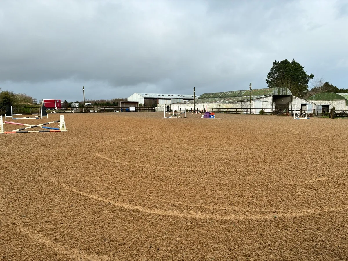 Horse Breaking - Image 1