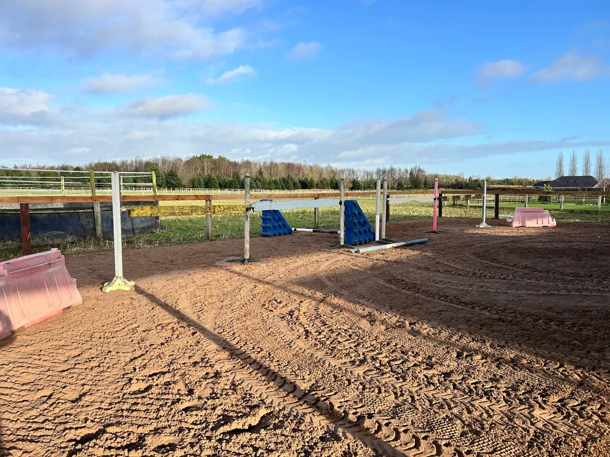 Horse Breaking - Image 2