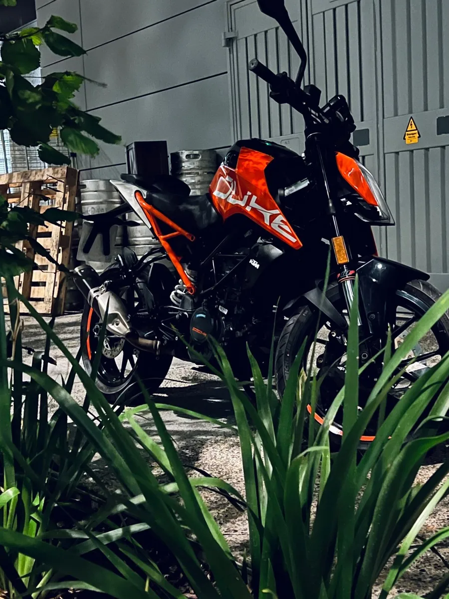 2019 KTM Duke 125 Immaculate, Ready to Ride - Image 4