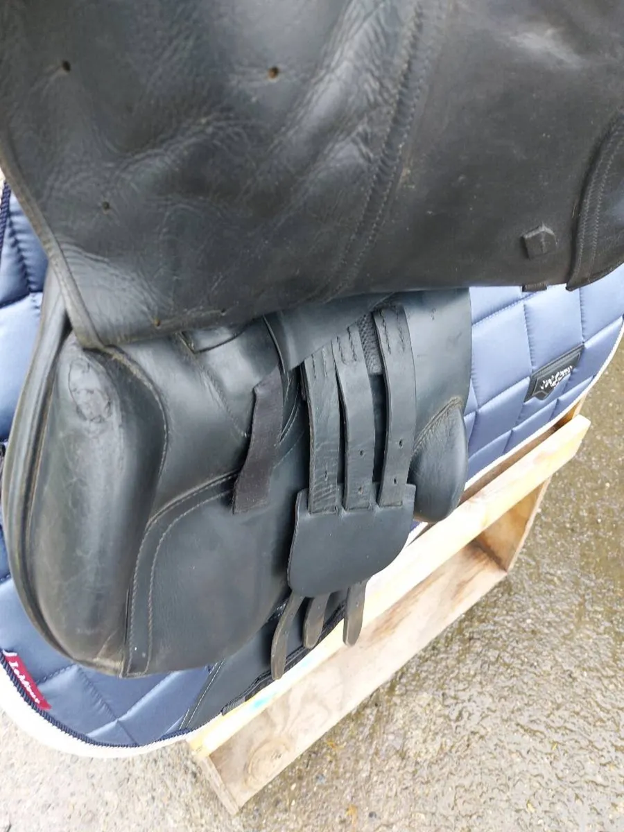 ALBION K2 JUMP / GP - Image 2