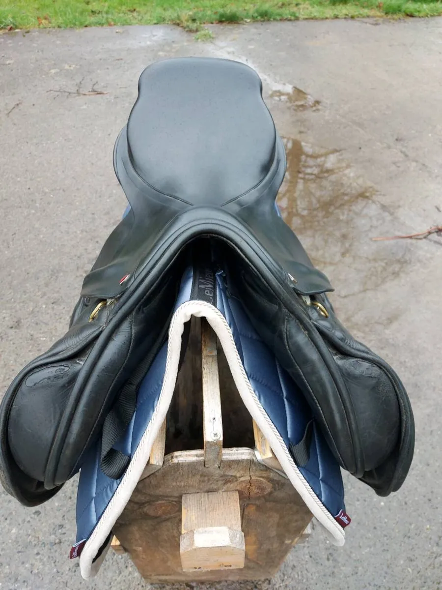 ALBION K2 JUMP / GP - Image 3