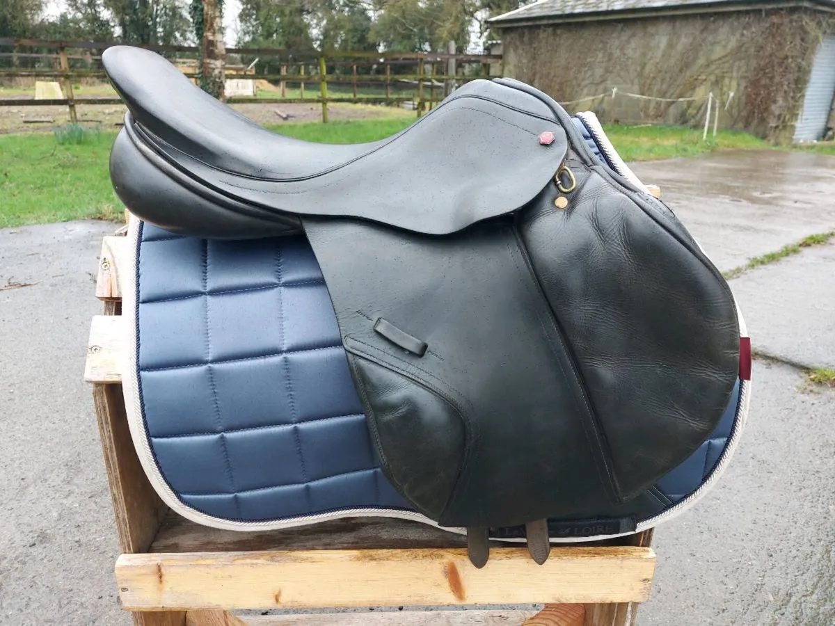 ALBION K2 JUMP / GP - Image 4