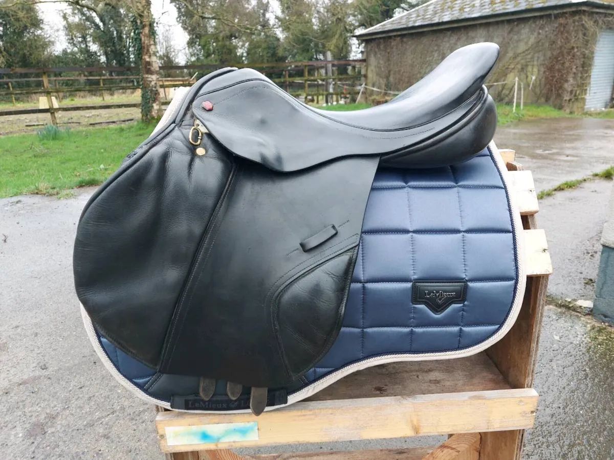 ALBION K2 JUMP / GP - Image 1