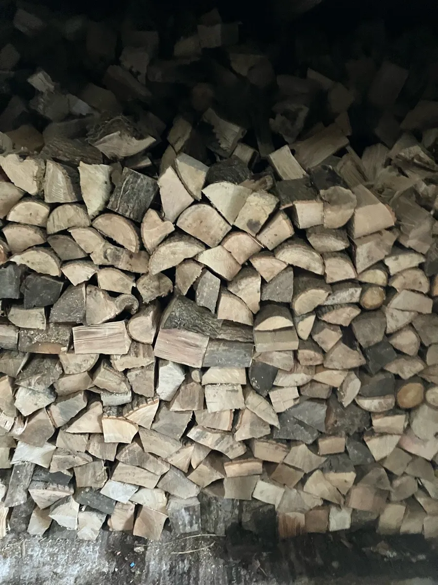 Seasoned ash timber - Image 1